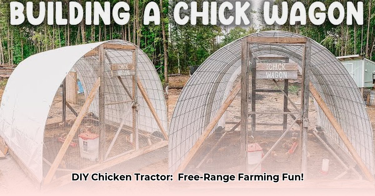 hoop-coop-chicken-tractor